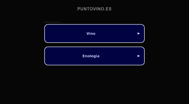 puntovino.es