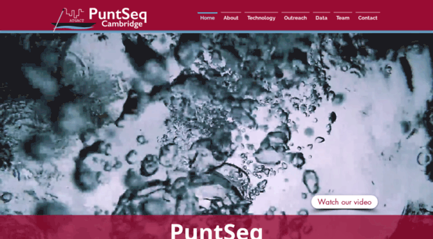 puntseq.co.uk