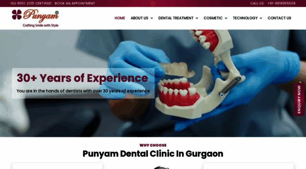 punyamdental.com