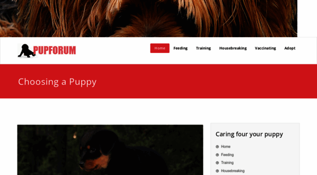 pupforum.com