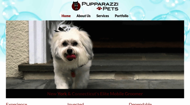 pupparazzipets.com