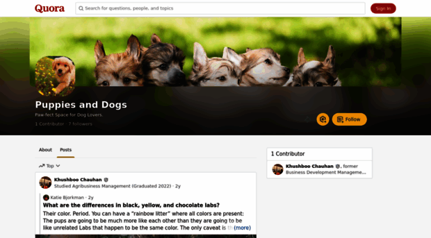 puppiesanddogs.quora.com