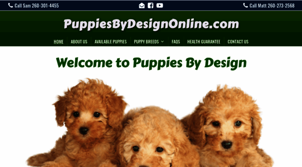 puppiesbydesignonline.com