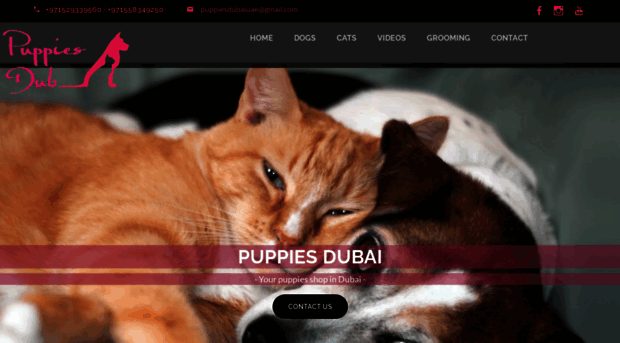 puppiesdubai.ae