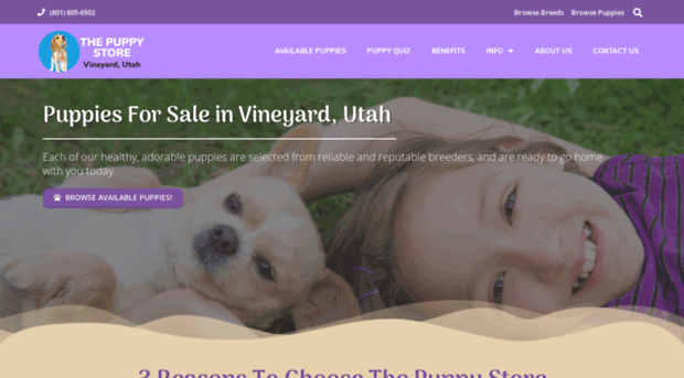 puppiesforsalevineyard.com