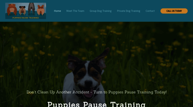 puppiespausetraining.com