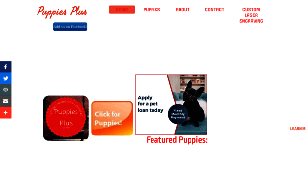 puppiesplus.com