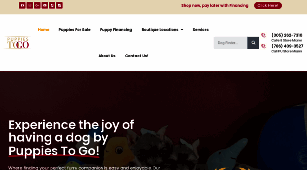 puppiestogoinc.com