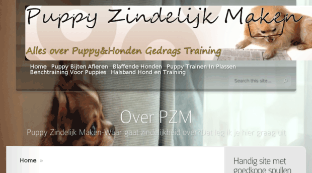 puppy-zindelijk-maken.nl