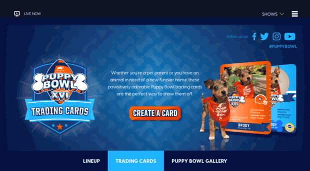 puppybowltradingcards.com