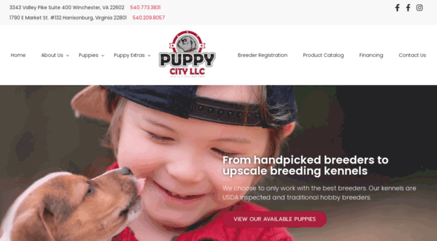 puppycitywinchester.com