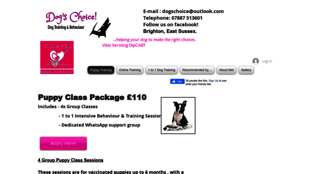 puppyclassesbrighton.com