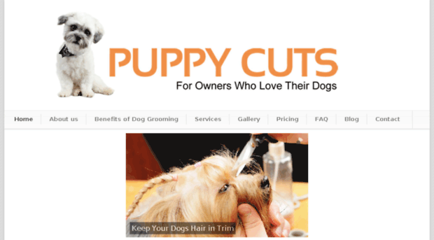 puppycuts.ie