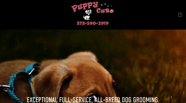 puppycutsonthesquare.com