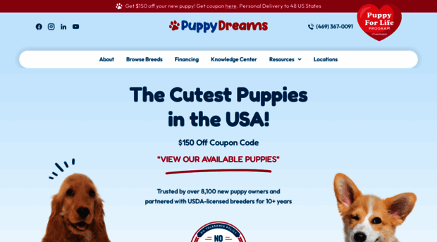 puppydreams.com