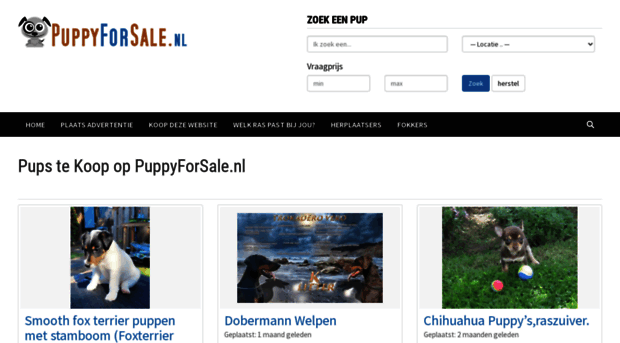 puppyforsale.nl