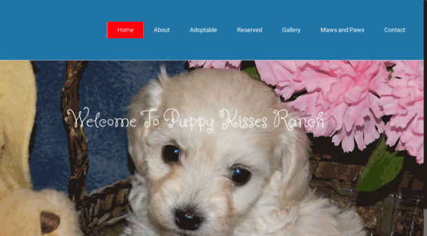 puppykissesranch.com