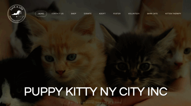 puppykittynyc.org