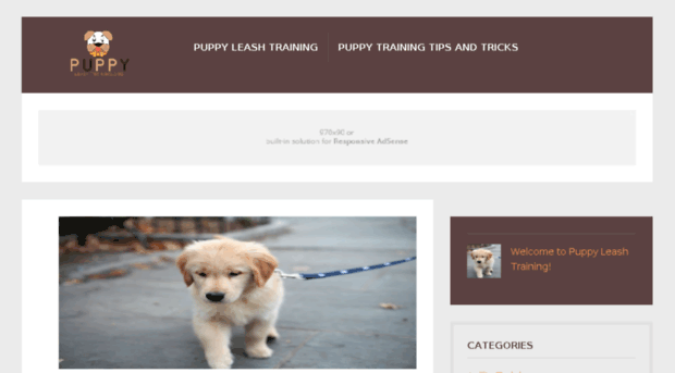 puppyleashtraining.org