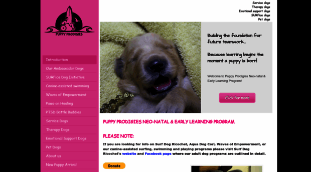 puppyprodigies.org