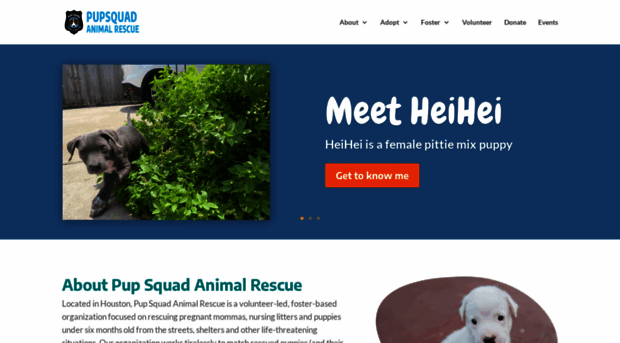 pupsquad.org