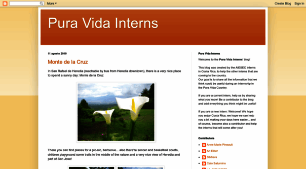 puravidainterns.blogspot.com