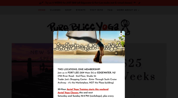 pure-bliss-yoga.com