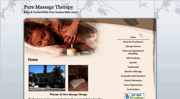 pure.massagetherapy.com