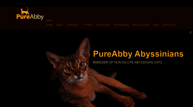 pureabby.ca