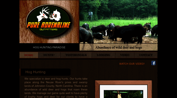 pureadrenalineoutfitters.com