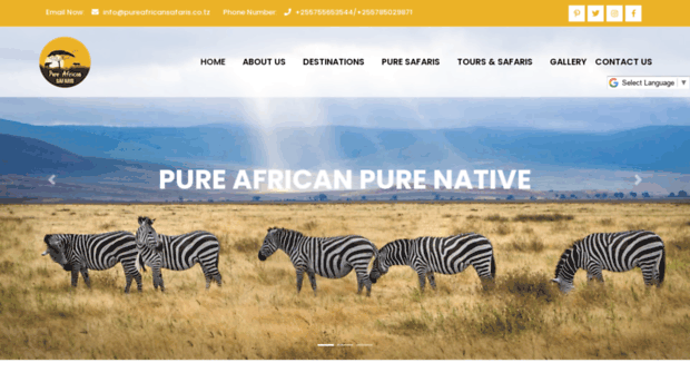 pureafricansafaris.co.tz