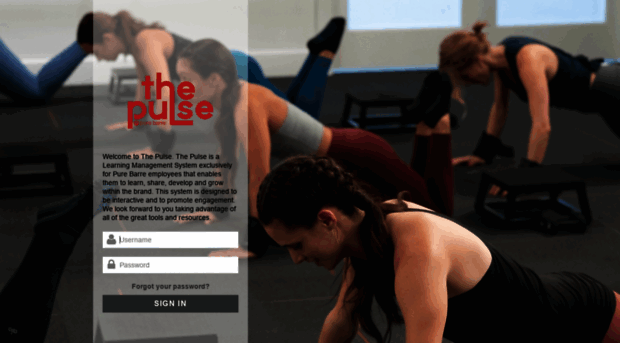 Purebarre wisetail The Pulse By Pure Barre Pure Barre Wisetail