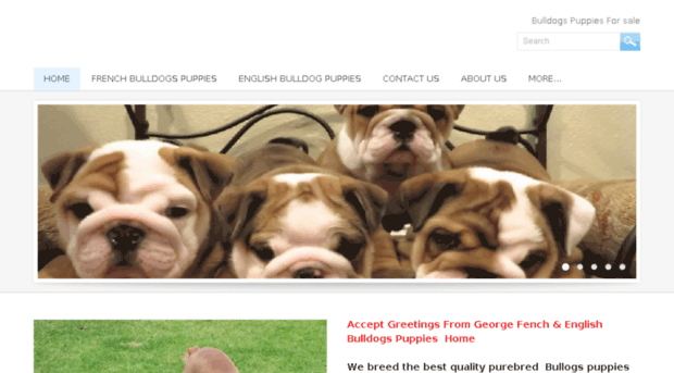 purebreedfrenchbulldogs.com