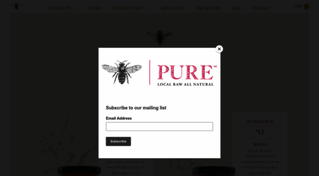 purehoneyca.com