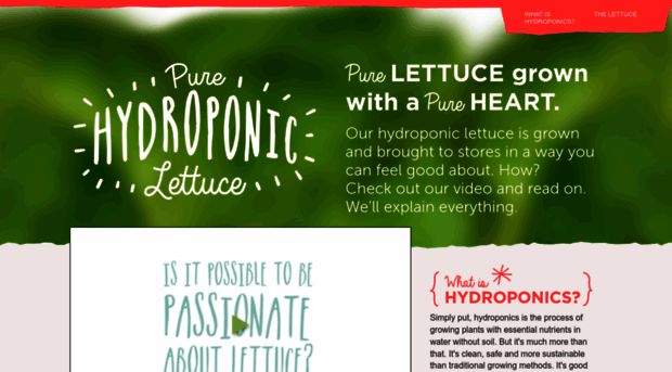 purehydroponiclettuce.com