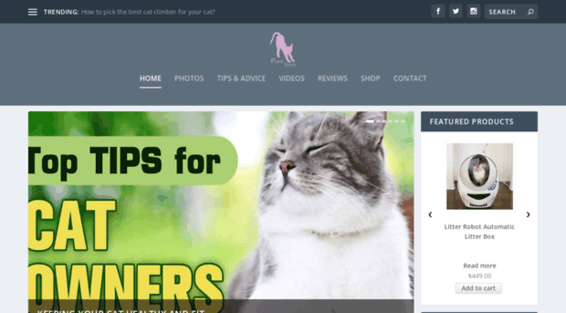 purekitties.com