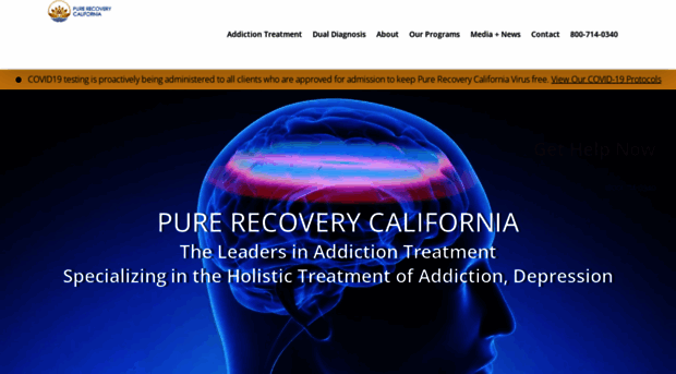 purerecoveryca.com