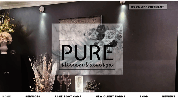 pureskincarespa.com