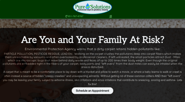 puresolutionscleaning.com