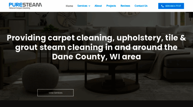 puresteamcarpetcare.com
