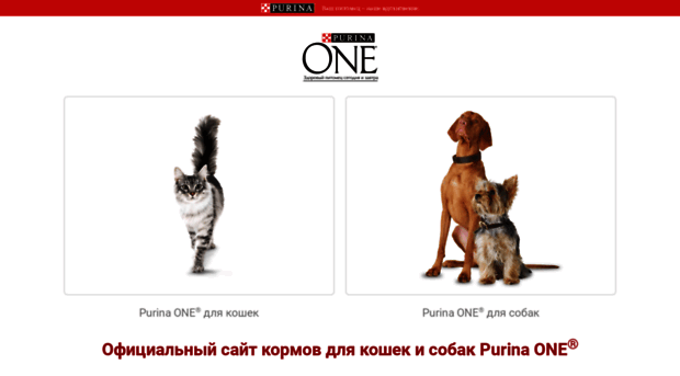 purinaone.ru