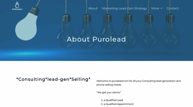 purolead.com