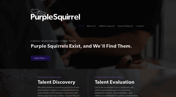 purplesquirrelit.com