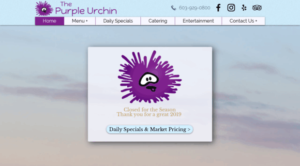 purpleurchin.net