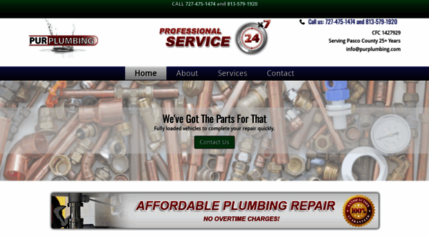 purplumbingservice.com