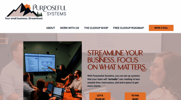 purposefulsystems.com