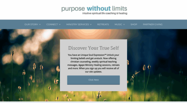 purposewithoutlimits.com