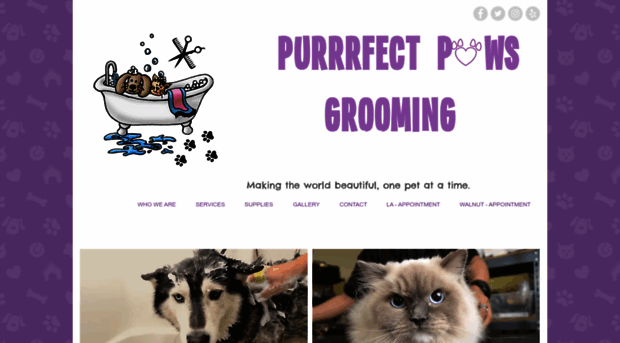 purrrfectpawsgrooming.com