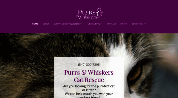 purrsandwhiskers.org