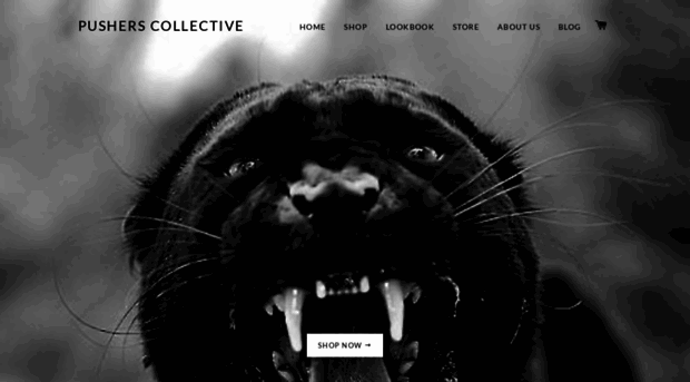 pusherscollective.com